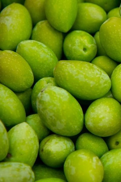 Yesil Zeytin